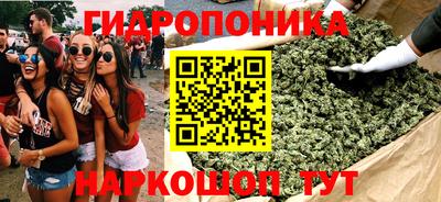 мдпв Партизанск