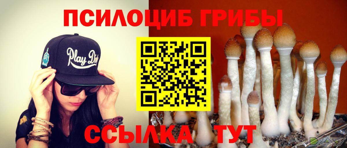 Советск  Псилоцибиновые грибы ЛСД  Псилоцибиновые грибы мицелий  Вход с VPN 